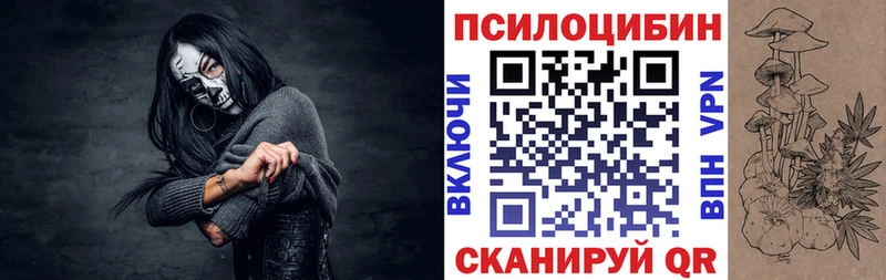 ОМГ ОМГ ссылки Каневская Псилоцибиновые грибы мицелий